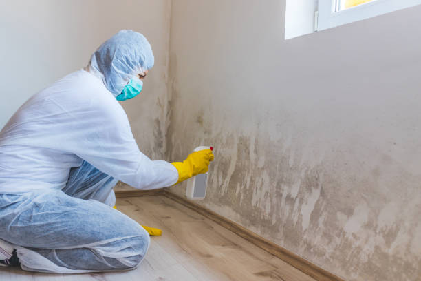 Licensed Crawl Space Mold Remediation service in Deer Park, TX - 24 Hour Mold Removal